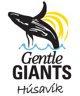 Wale Husavik Gentle Giants