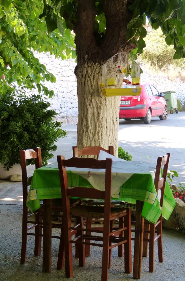 Taverne auf Kreta mit Schattenplatz unterm Baum