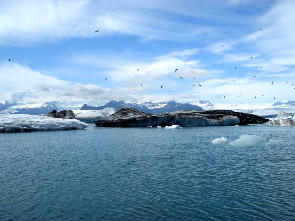 Vögel und Eisschollen an der Gletscherlagune Jökulsarlon in Island