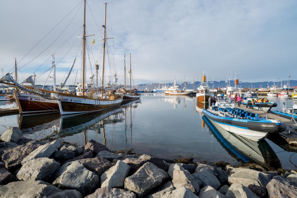 Geschäftiges Treiben im schönen Hafen von Húsavík